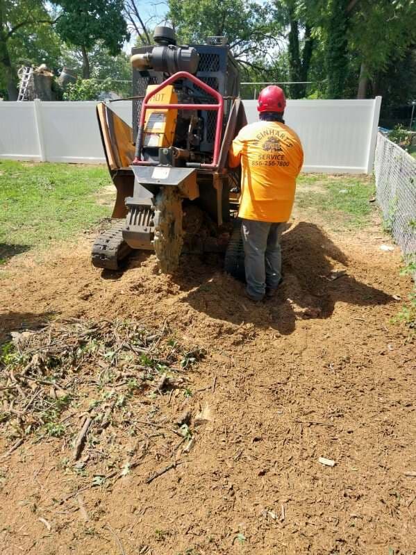 Meinhart's Tree Service crew grinding an oak stump in Woodbury, New Jersey