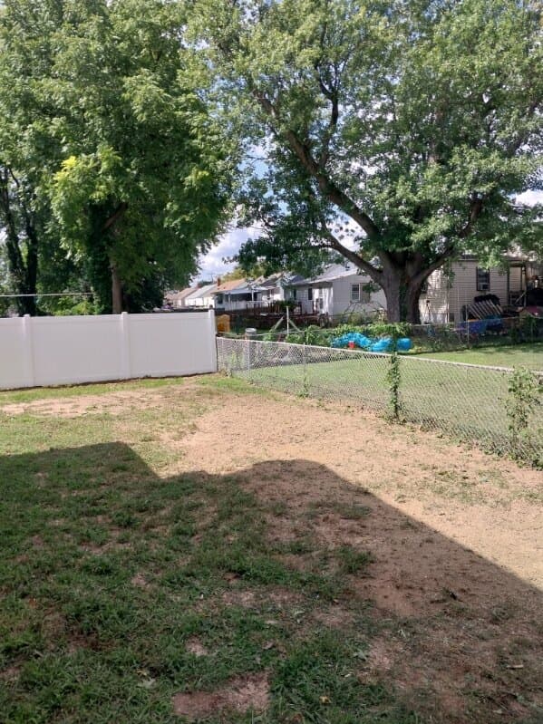 Woodbury backyard after the diseased oak and stump were removed and the work area was cleaned