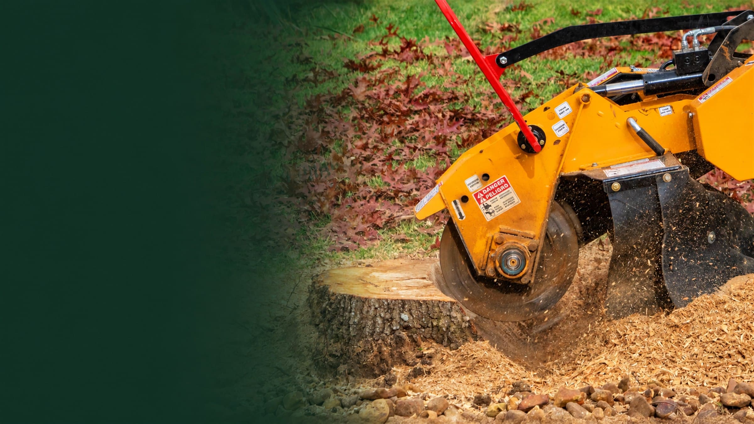 Stump grinder cutting a tree stump into wood chips