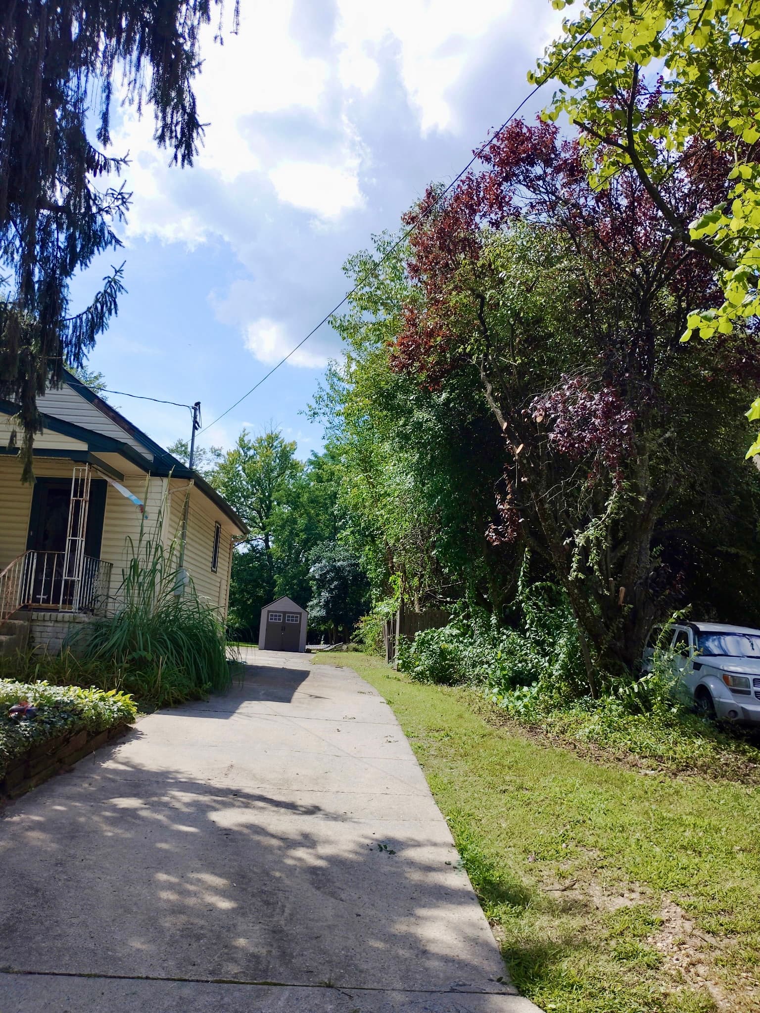 Residential driveway with improved clearance after tree trimming in Blackwood, New Jersey