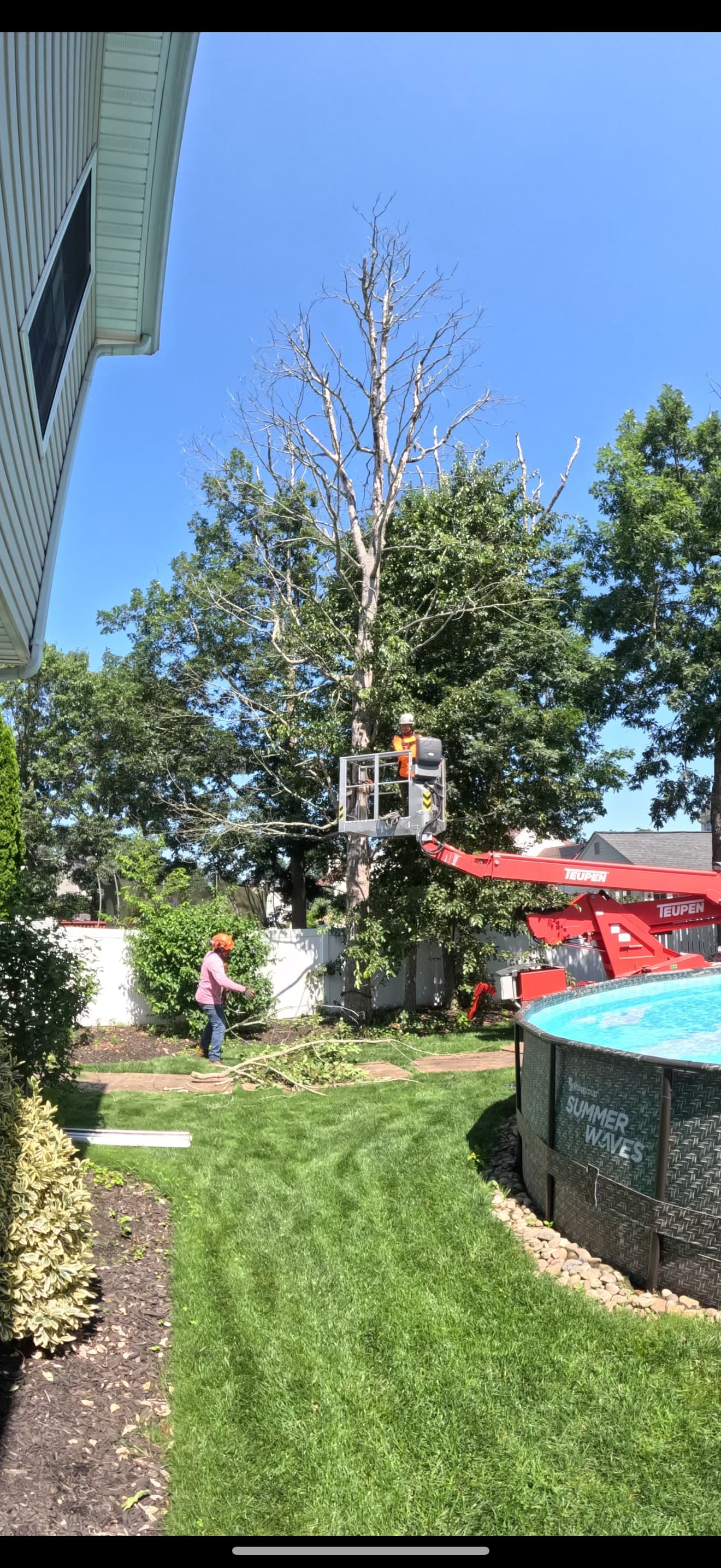 Meinhart's crew using a spider lift to remove a dead backyard tree in Williamstown, New Jersey